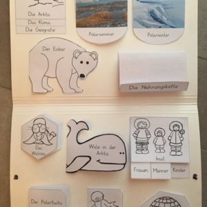 Lapbook Arktis
