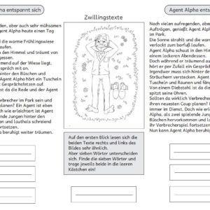 Zwillingstexte Agent Alpha