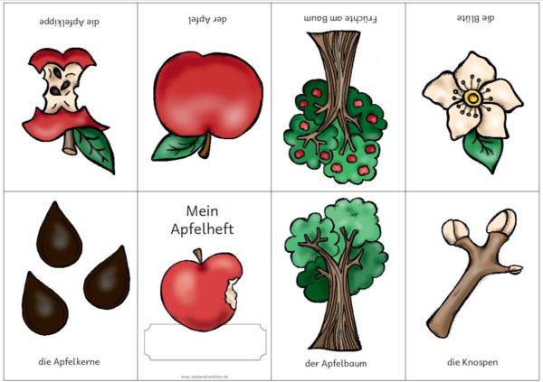 Apfel-Mini-Faltheft