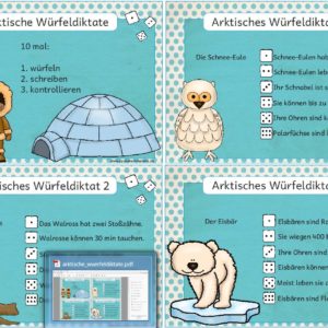 Arktische Würfeldiktate