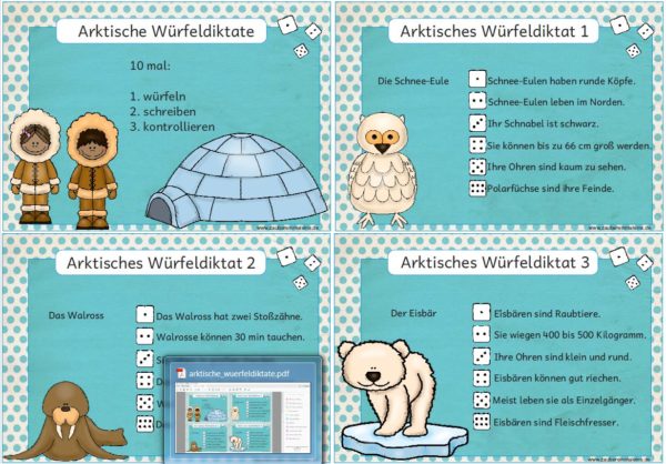 Arktische Würfeldiktate