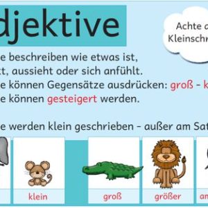 Aushänge Wortarten