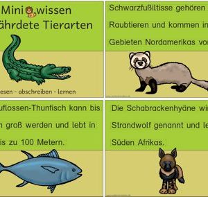 Miniwissen: Gefährderte Tierarten