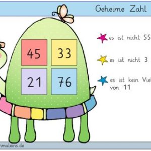 Geheime Zahl