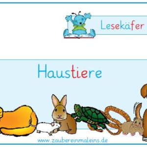 Lesekäfer: Haustiere