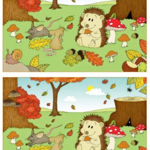 Fehlersuchbilder Herbst