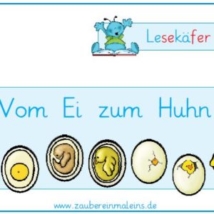 Lesekäfer: Vom Ei zum Huhn