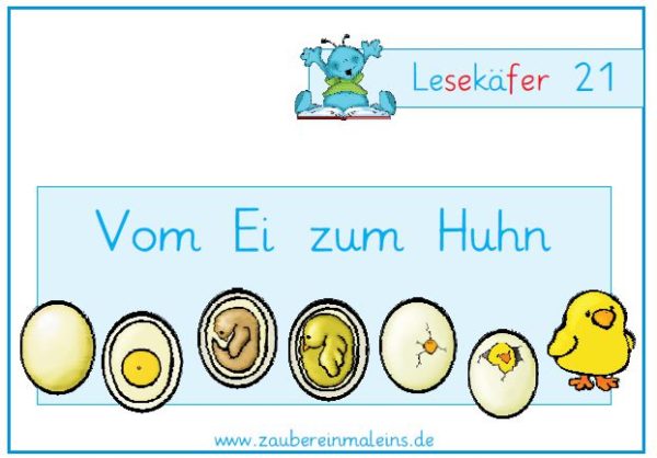 Lesekäfer: Vom Ei zum Huhn
