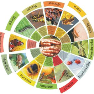 Legekreis Insekten