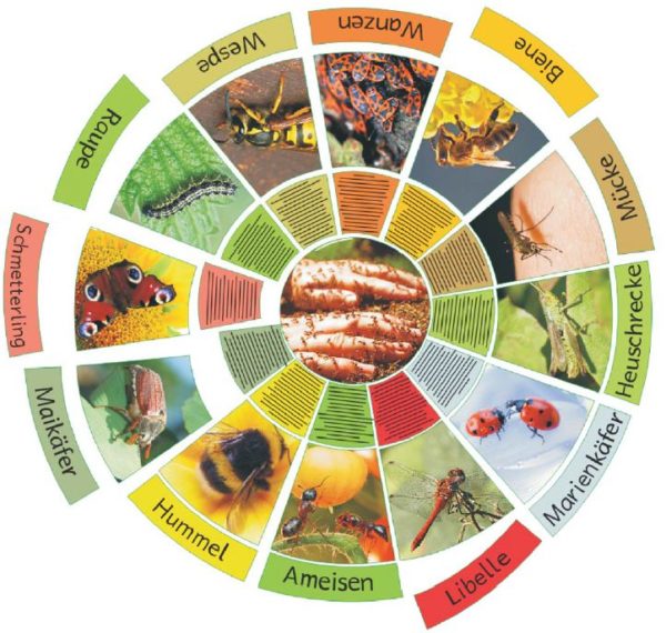 Legekreis Insekten