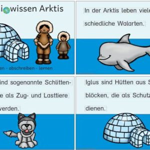 Miniwissen: Arktis