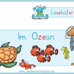 Lesekäfer: Im Ozean