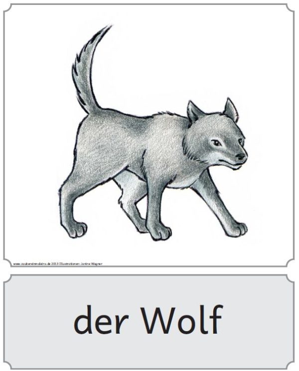 Bildkarten Figuren Peter und der Wolf – Zaubereinmaleins Shop