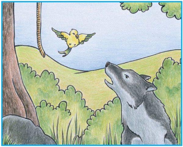 Bildkarten Peter und der Wolf - farbig