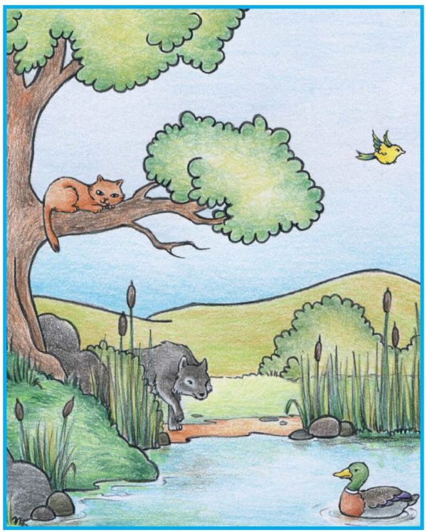 Bildkarten Peter und der Wolf farbig Zaubereinmaleins Shop