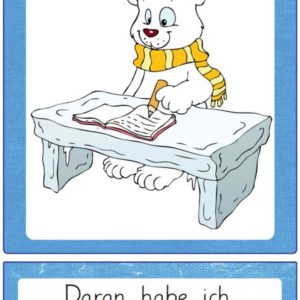 Reflexionskarten Eisbären