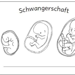 DIN A6 Leseheft Schwangerschaft
