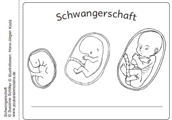 DIN A6 Leseheft Schwangerschaft