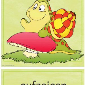 Grundregeln und Ausmalheft Schnecke