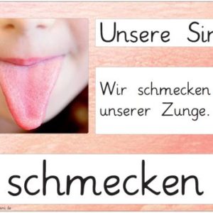 Aushänge Unsere Sinne