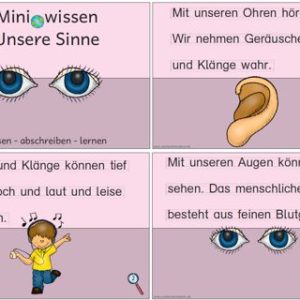 Miniwissen: Unsere Sinne