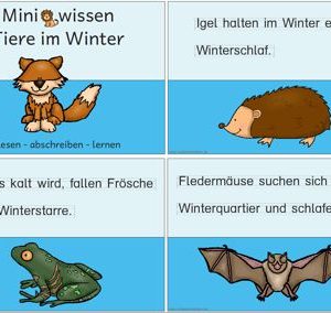 Miniwissen: Tiere im Winter