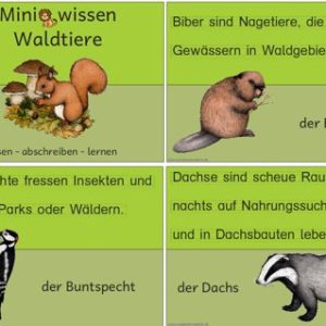 Miniwissen: Waldtiere