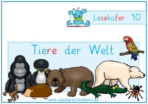 Lesekäfer: Tiere der Welt