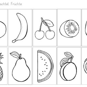 Wörterschachtel Früchte