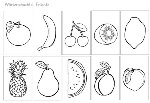 Wörterschachtel Früchte