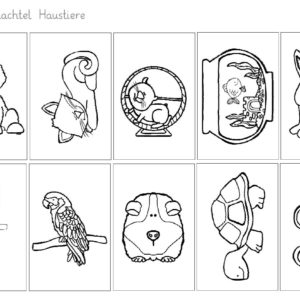Wörterschachtel Haustiere