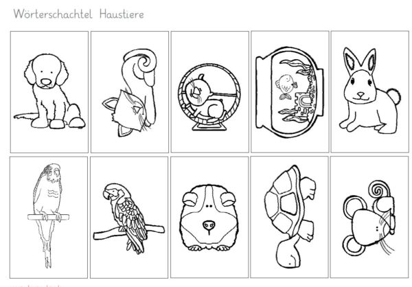 Wörterschachtel Haustiere