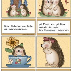 Lesezuordnungskarten: Igel + Schreibstreifenheft