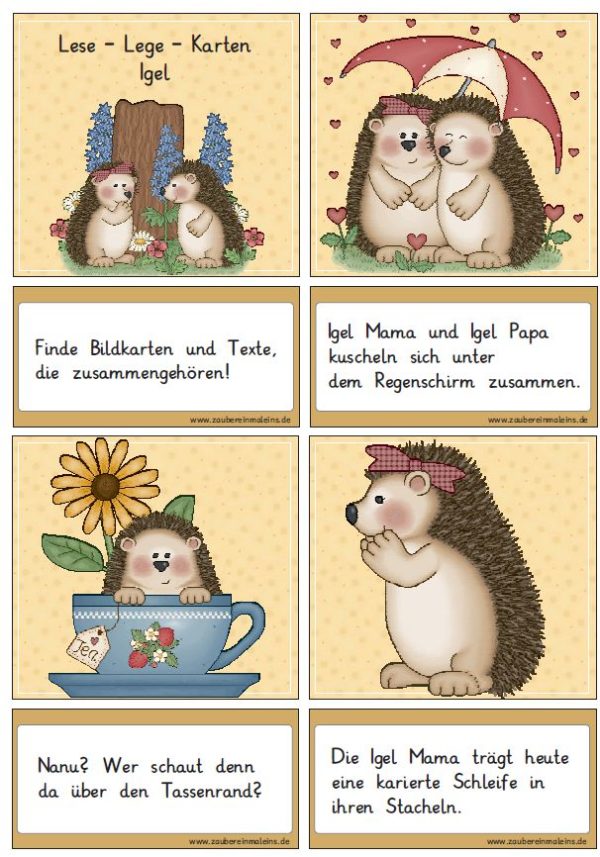 Lesezuordnungskarten: Igel + Schreibstreifenheft