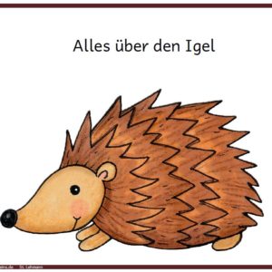 Alles über den Igel