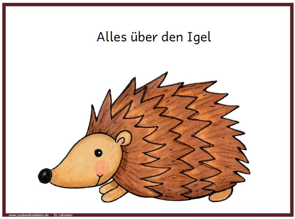  Alles über den Igel – Zaubereinmaleins Shop Bildidee 