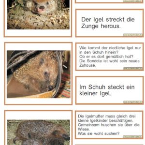 Lesezuordnungskarten: Igel