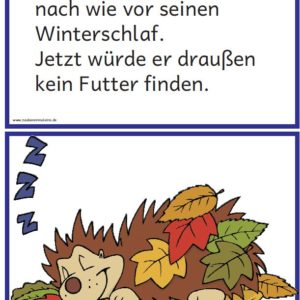 Text- und Bildkarten zum Igeljahr