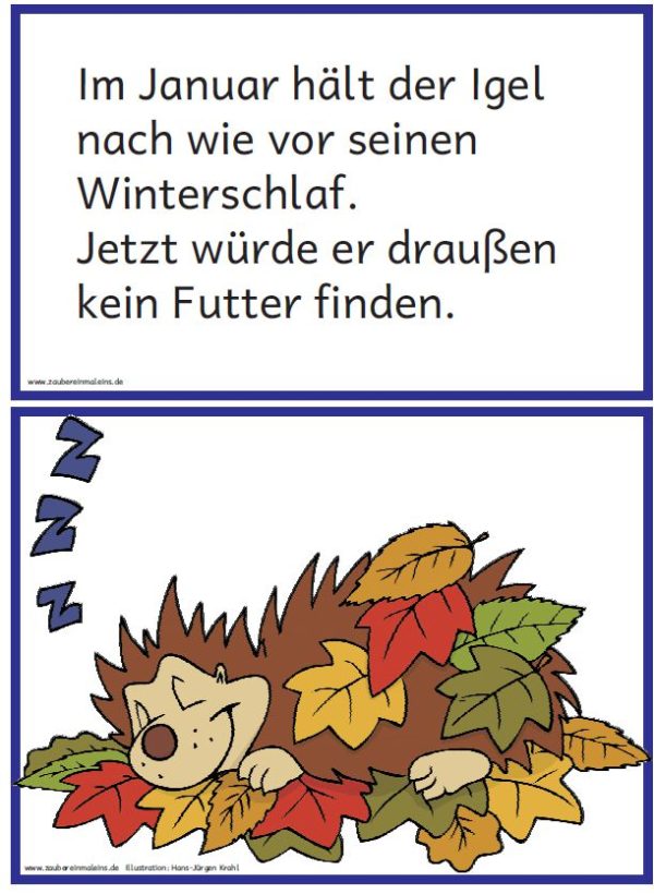 Text- und Bildkarten zum Igeljahr