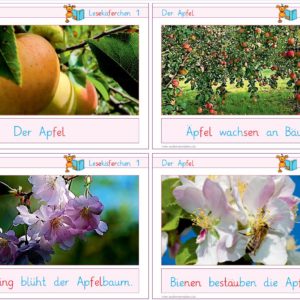 Lesekäferchen: Der Apfel