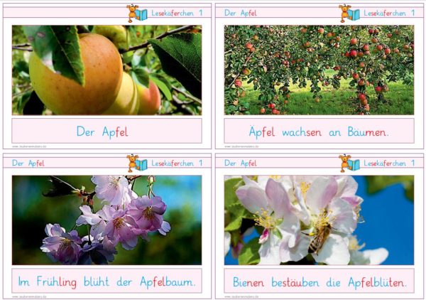 Lesekäferchen: Der Apfel
