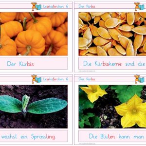 Lesekäferchen: Der Kürbis