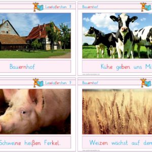Lesekäferchen: Der Bauernhof