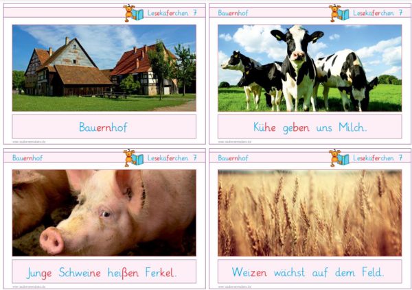 Lesekäferchen: Der Bauernhof