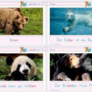 Lesekäferchen: Bären