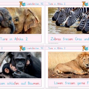 Lesekäferchen: Tiere in Afrika II