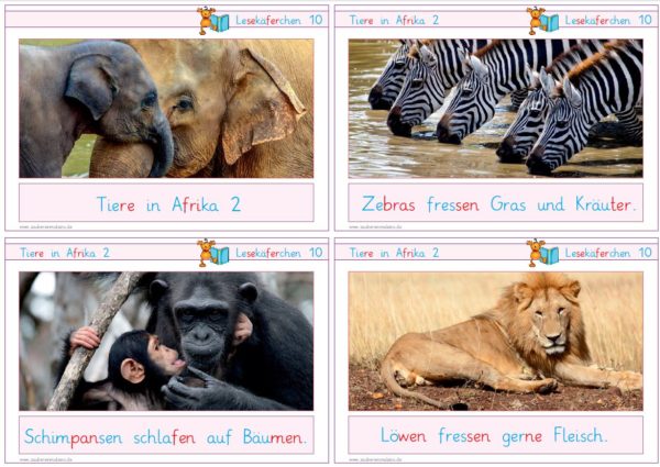 Lesekäferchen: Tiere in Afrika II