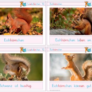 Lesekäferchen: Eichhörnchen