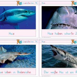 Lesekäferchen: Haie