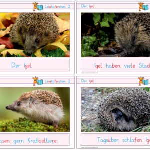 Lesekäferchen: Der Igel